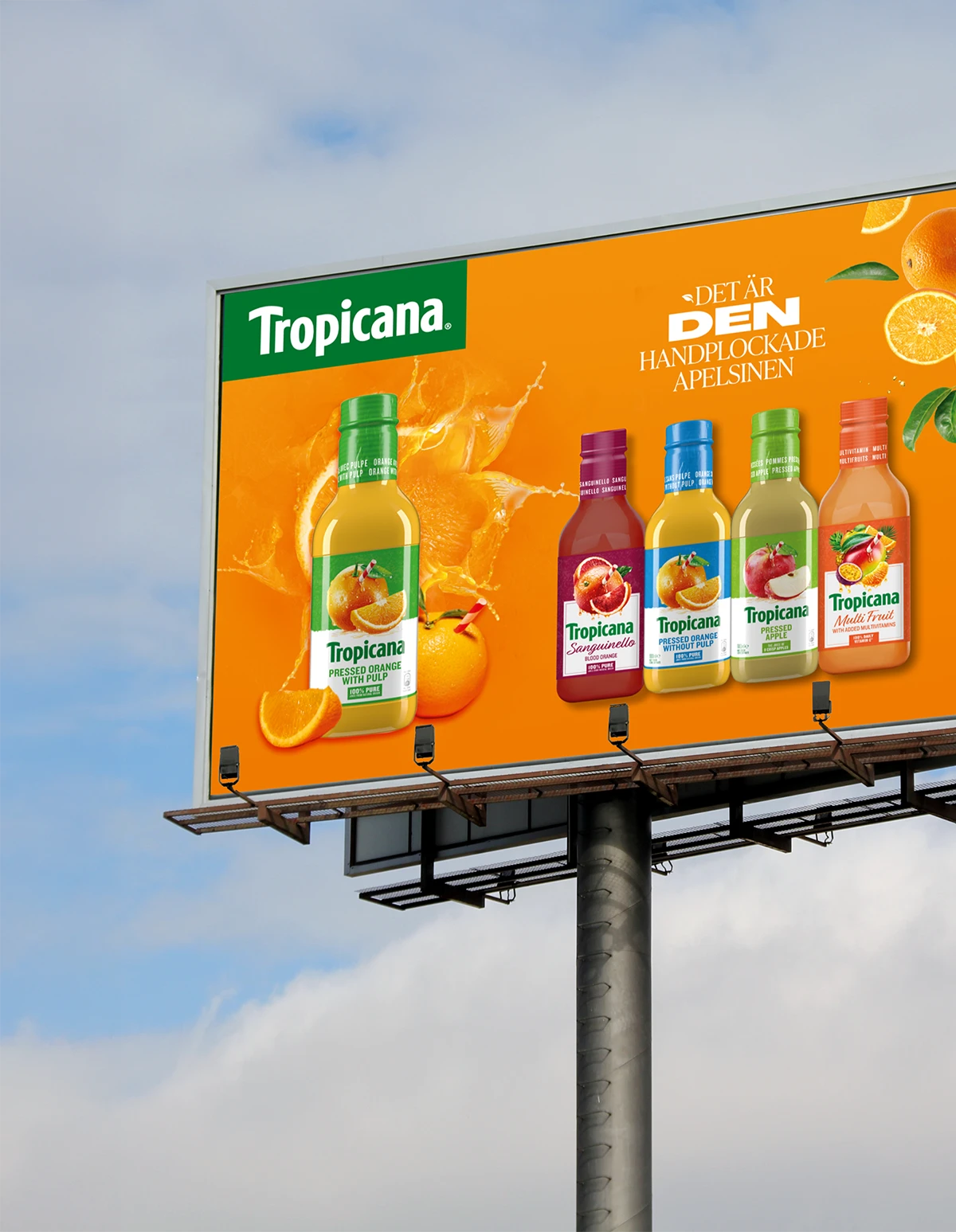 Brand Management